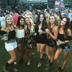 Meet your Posher, Annie